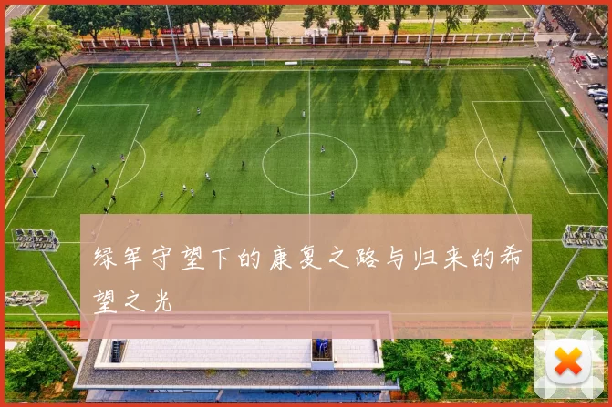 绿军守望下的康复之路与归来的希望之光