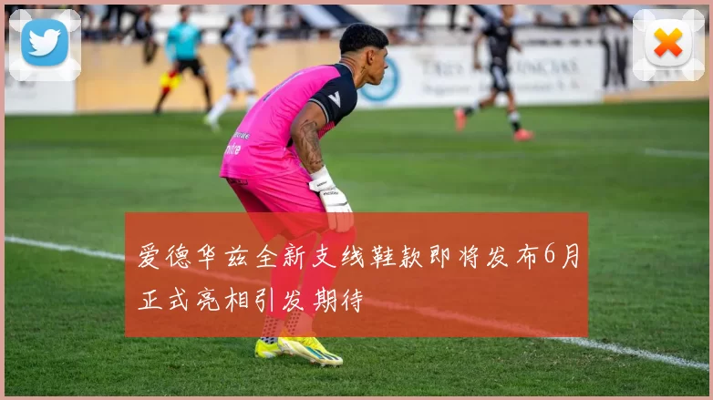 爱德华兹全新支线鞋款即将发布6月正式亮相引发期待
